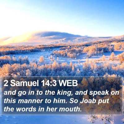 2 Samuel 14:3 WEB Bible Verse Image