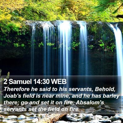 2 Samuel 14:30 WEB Bible Verse Image