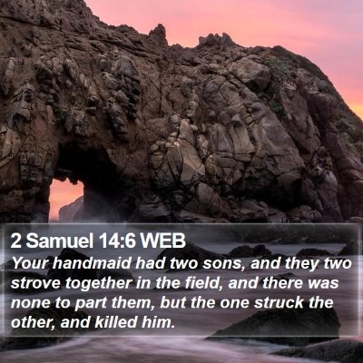 2 Samuel 14:6 WEB Bible Verse Image