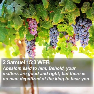 2 Samuel 15:3 WEB Bible Verse Image