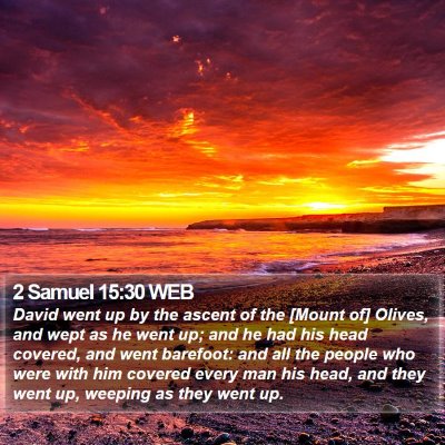 2 Samuel 15:30 WEB Bible Verse Image