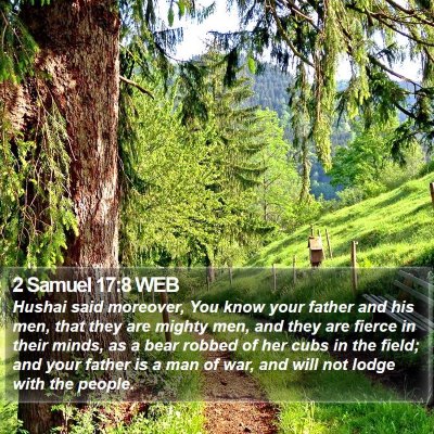 2 Samuel 17:8 WEB Bible Verse Image
