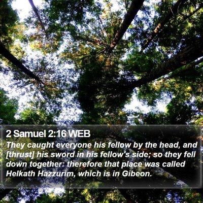 2 Samuel 2:16 WEB Bible Verse Image