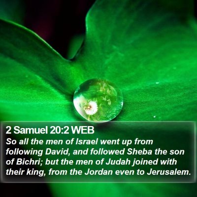 2 Samuel 20:2 WEB Bible Verse Image