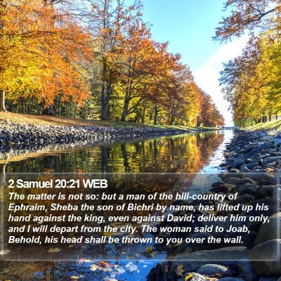2 Samuel 20:21 WEB Bible Verse Image