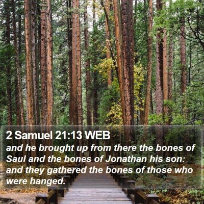 2 Samuel 21:13 WEB Bible Verse Image