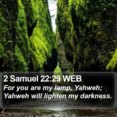2 Samuel 22:29 WEB Bible Verse Image