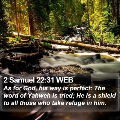 2 Samuel 22:31 WEB Bible Verse Image