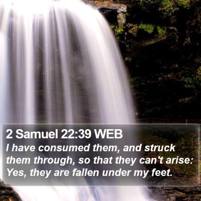 2 Samuel 22:39 WEB Bible Verse Image