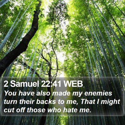 2 Samuel 22:41 WEB Bible Verse Image