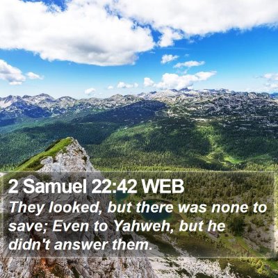 2 Samuel 22:42 WEB Bible Verse Image