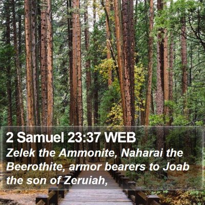 2 Samuel 23:37 WEB Bible Verse Image