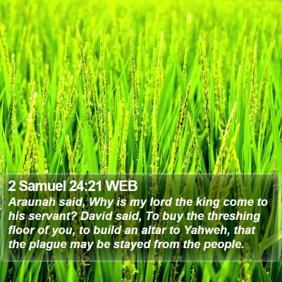 2 Samuel 24:21 WEB Bible Verse Image