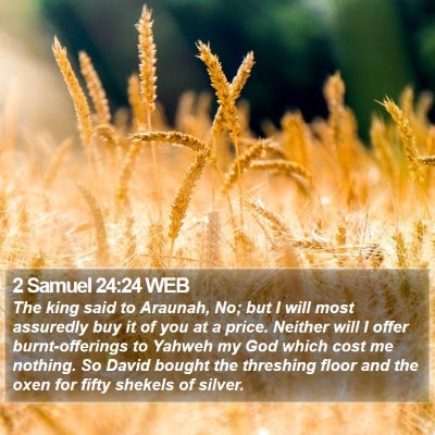 2 Samuel 24:24 WEB Bible Verse Image