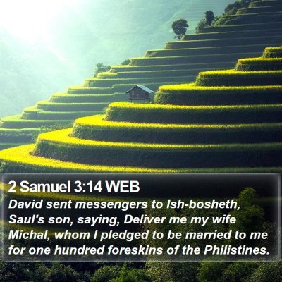 2 Samuel 3:14 WEB Bible Verse Image