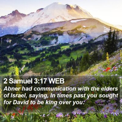 2 Samuel 3:17 WEB Bible Verse Image