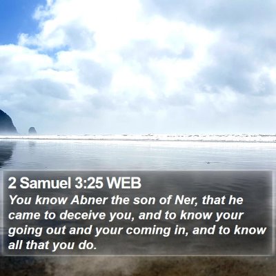 2 Samuel 3:25 WEB Bible Verse Image