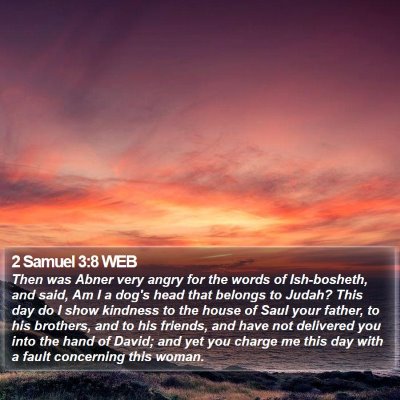 2 Samuel 3:8 WEB Bible Verse Image