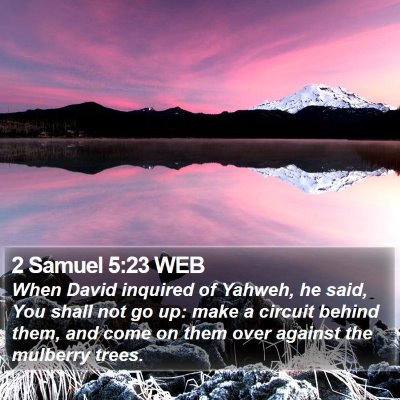 2 Samuel 5:23 WEB Bible Verse Image