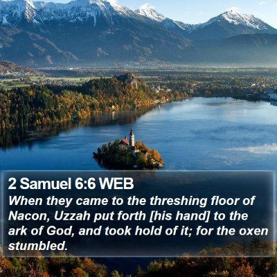 2 Samuel 6:6 WEB Bible Verse Image