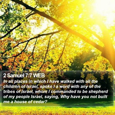 2 Samuel 7:7 WEB Bible Verse Image
