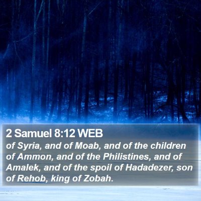 2 Samuel 8:12 WEB Bible Verse Image
