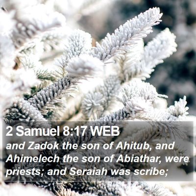 2 Samuel 8:17 WEB Bible Verse Image