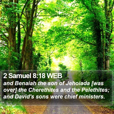 2 Samuel 8:18 WEB Bible Verse Image