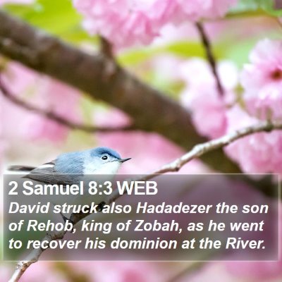 2 Samuel 8:3 WEB Bible Verse Image