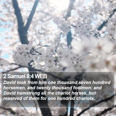 2 Samuel 8:4 WEB Bible Verse Image