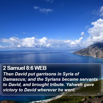 2 Samuel 8:6 WEB Bible Verse Image