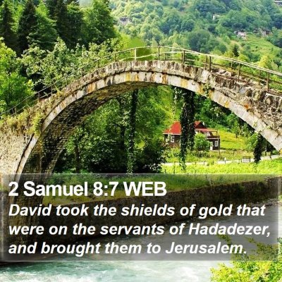 2 Samuel 8:7 WEB Bible Verse Image