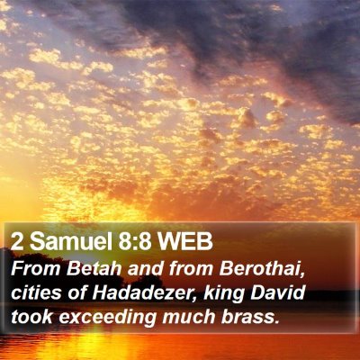 2 Samuel 8:8 WEB Bible Verse Image