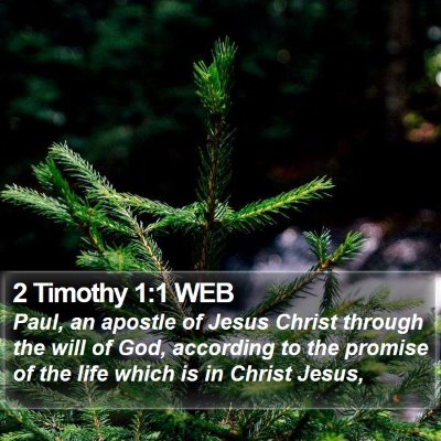 2 Timothy 1:1 WEB Bible Verse Image