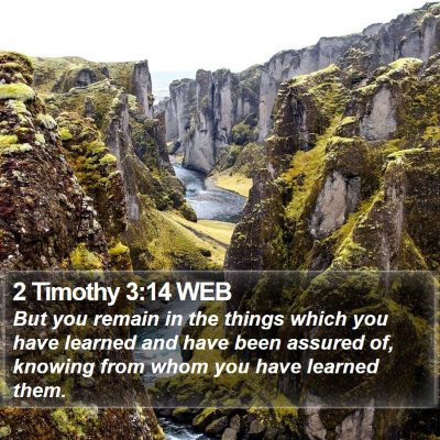 2 Timothy 3:14 WEB Bible Verse Image