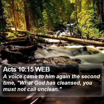 Acts 10:15 WEB Bible Verse Image