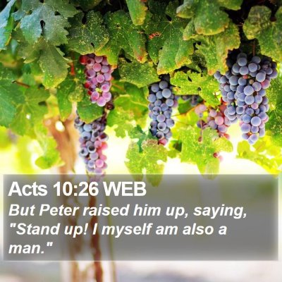 Acts 10:26 WEB Bible Verse Image