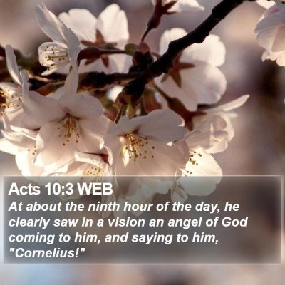 Acts 10:3 WEB Bible Verse Image