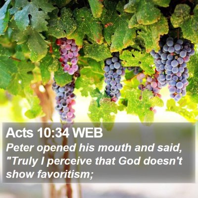 Acts 10:34 WEB Bible Verse Image