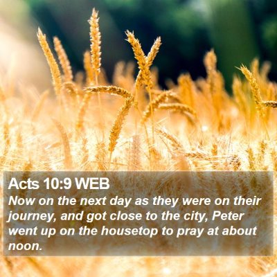 Acts 10:9 WEB Bible Verse Image