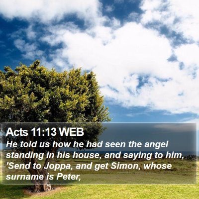 Acts 11:13 WEB Bible Verse Image