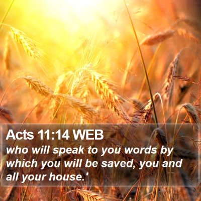 Acts 11:14 WEB Bible Verse Image