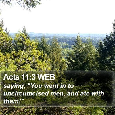 Acts 11:3 WEB Bible Verse Image