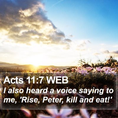 Acts 11:7 WEB Bible Verse Image