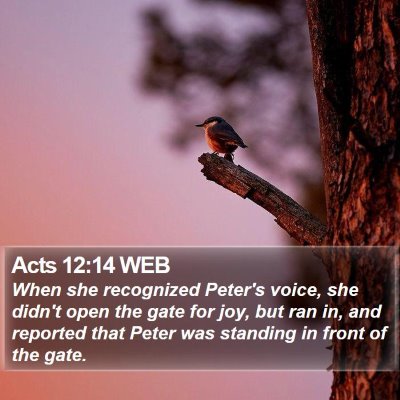 Acts 12:14 WEB Bible Verse Image
