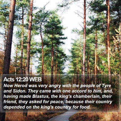Acts 12:20 WEB Bible Verse Image