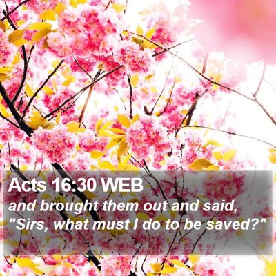 Acts 16:30 WEB Bible Verse Image