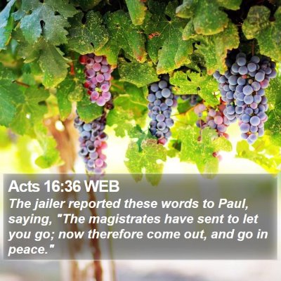 Acts 16:36 WEB Bible Verse Image