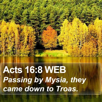 Acts 16:8 WEB Bible Verse Image