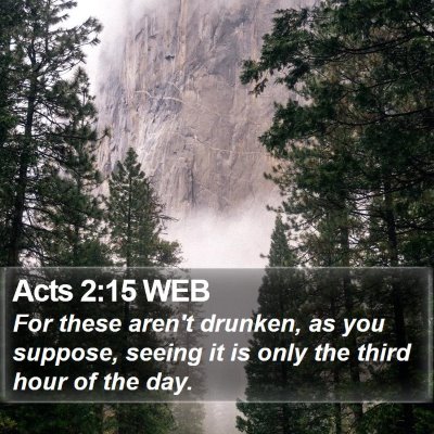 Acts 2:15 WEB Bible Verse Image